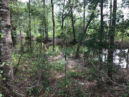 Land in Laurens County, Georgia