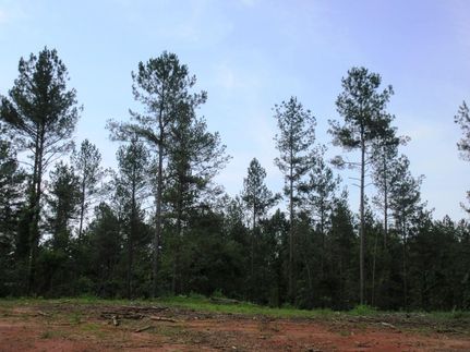 Land in Stephens County, Georgia