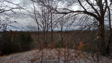 Timberland Property in Manistee County, Michigan