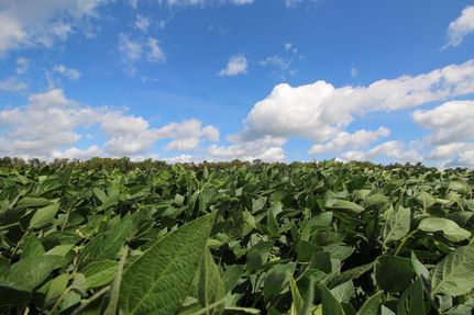 Land in Richland County, Ohio