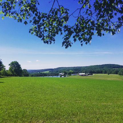 Hunting Property in Chenango County, New York