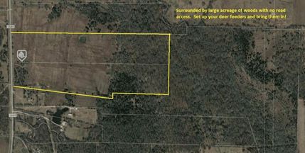 Timberland Property in Hopkins County, Texas
