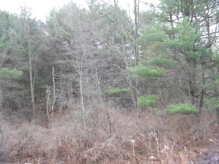 Land in Tompkins County, New York