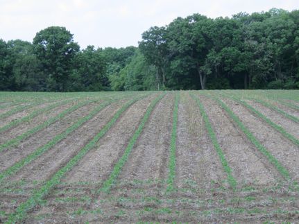 Recreational Property in Dunn County, Wisconsin