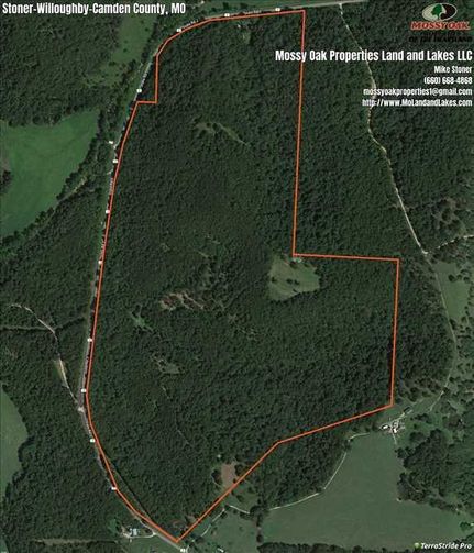 Timberland Property in Camden County, Missouri