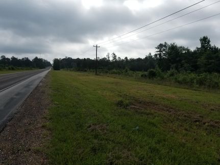 Timberland Property in Tyler County, Texas