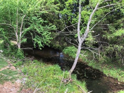 Recreational Property in Bedford County, Tennessee