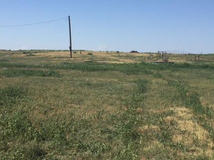 Undeveloped Land in Beaver County, Oklahoma