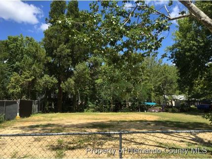 Undeveloped Land in Hernando County, Florida