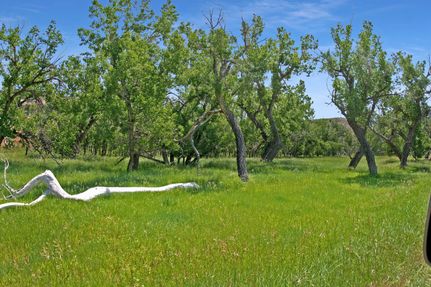 Undeveloped Land in Sheridan County, Wyoming