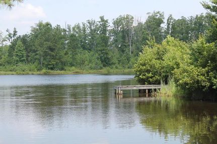 Farm and Ranch in Moore County, North Carolina