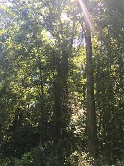 Recreational Property in Pike County, Alabama