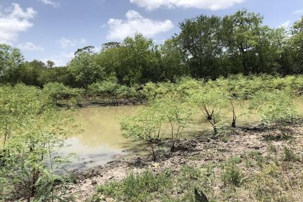 Land in Atascosa County, Texas