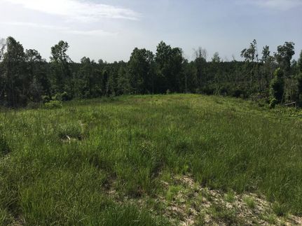 Farm and Ranch in Choctaw County, Alabama