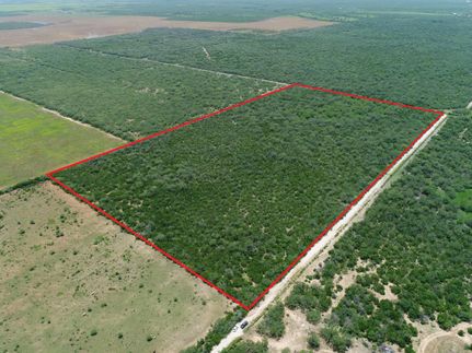 Recreational Property in Duval County, Texas