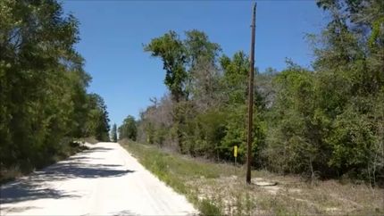 Undeveloped Land in Suwannee County, Florida