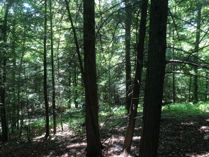 Commercial Property in Chenango County, New York