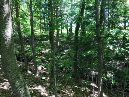 Commercial Property in Chenango County, New York