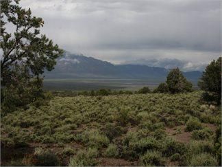 Land in White Pine County, Nevada