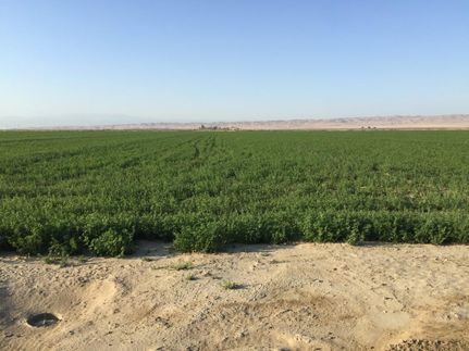 Farm and Ranch in Kern County, California