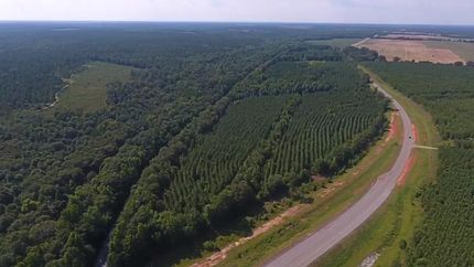 Land in Randolph County, Georgia