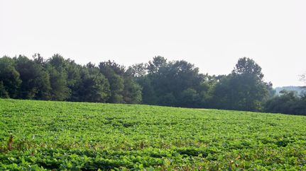 Recreational Property in Etowah County, Alabama