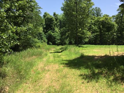 Hunting Property in Trigg County, Kentucky