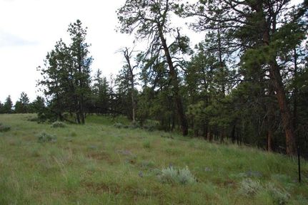Timberland Property in Stillwater County, Montana