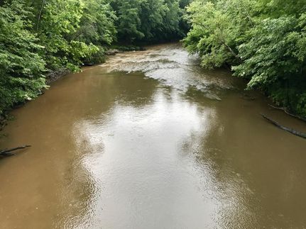 Timberland Property in Lauderdale County, Mississippi