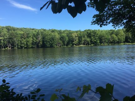 Lakefront Property in Chenango County, New York