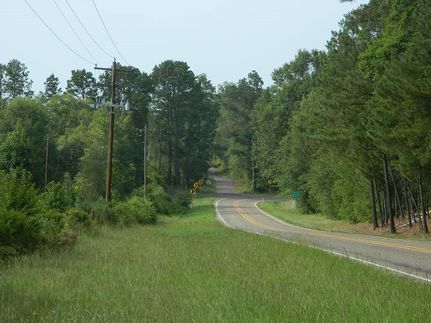 Timberland Property in Cass County, Texas