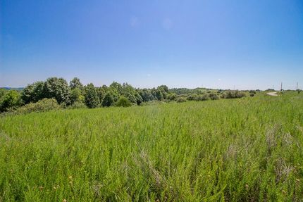 Timberland Property in Vinton County, Ohio