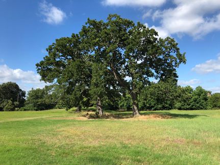 Recreational Property in Leon County, Texas