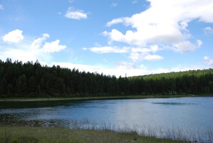 Timberland Property in Lincoln County, Montana