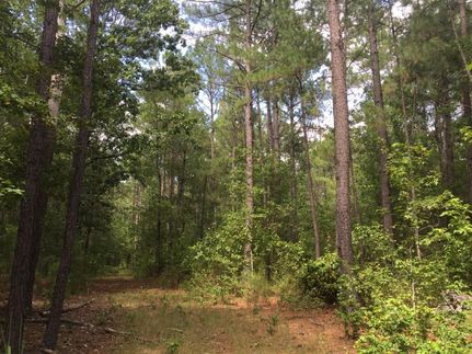Land in Kershaw County, South Carolina