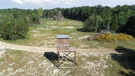 Timberland Property in Marshall County, Tennessee