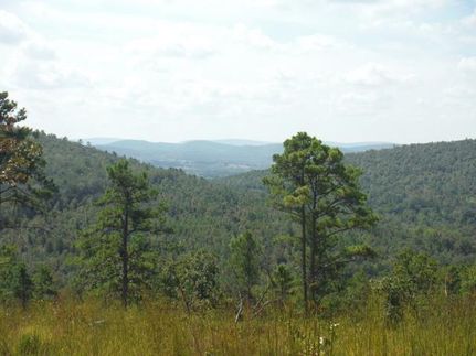 Recreational Property in Latimer County, Oklahoma