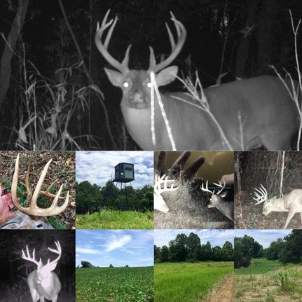 Undeveloped Land in Hopkins County, Kentucky