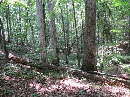 Recreational Property in Coosa County, Alabama