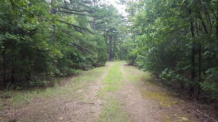 Undeveloped Land in Le Flore County, Oklahoma