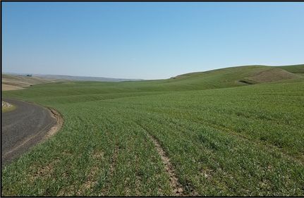Farm and Ranch in Walla Walla County, Washington