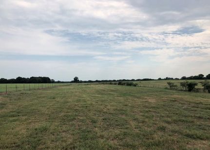 Undeveloped Land in Wood County, Texas