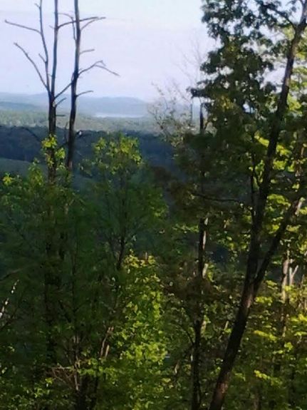 Timberland Property in Rhea County, Tennessee