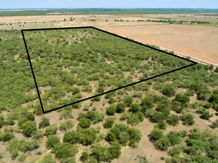Hunting Property in Young County, Texas