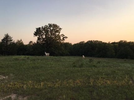 Farm and Ranch in Carter County, Oklahoma