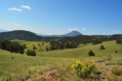 Undeveloped Land in Park County, Colorado