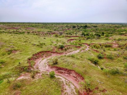 Timberland Property in Wichita County, Texas