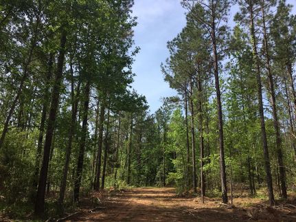 Recreational Property in Marengo County, Alabama