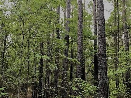 Recreational Property in Chesterfield County, South Carolina