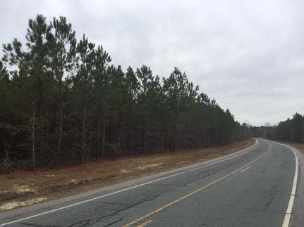 Timberland Property in Cumberland County, North Carolina